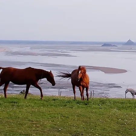 Holiday home Maison Vue Sur Le Mont Saint Michel Et Sa Baie Champeaux