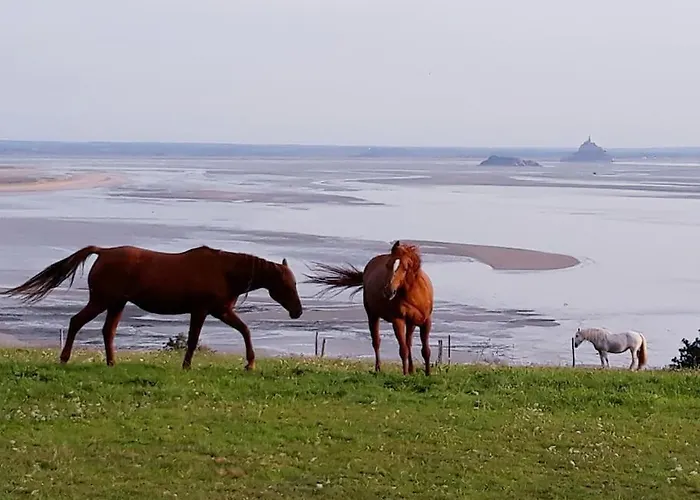Feriehus L'oeil Du Mont Maison Vue Sur Le Mont Saint Michel Et Sa Baie Champeaux